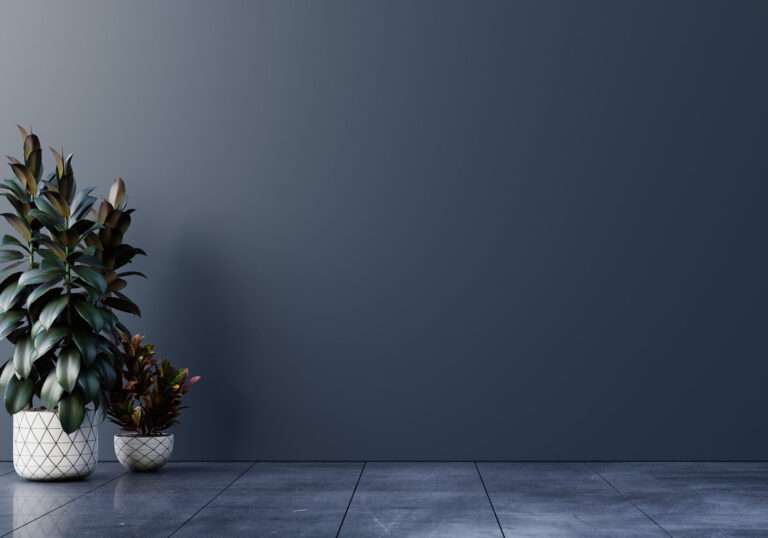 dark-wall-empty-room-with-plants-floor-3d-rendering-min