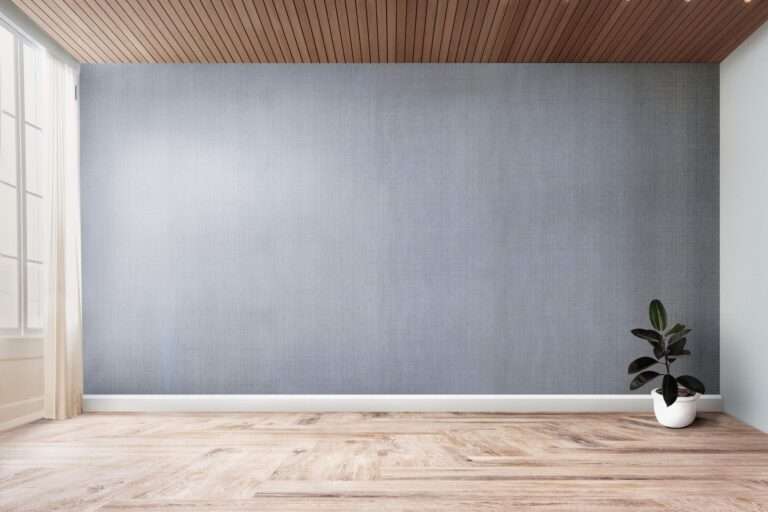 plant-empty-room-with-gray-wall