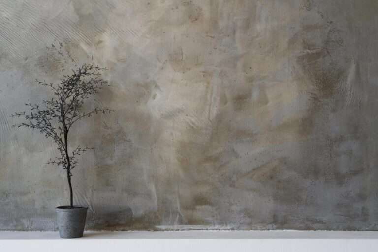 plant-stucco-wall-background-zoom-calls-min